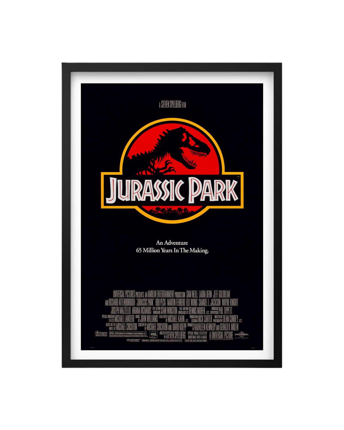 Cuadro Jurassic Park