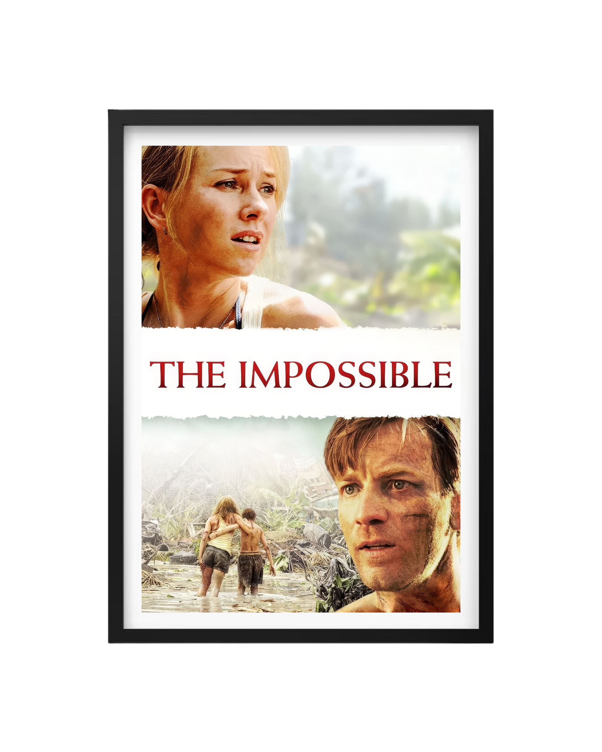 Cuadro Lo Imposible