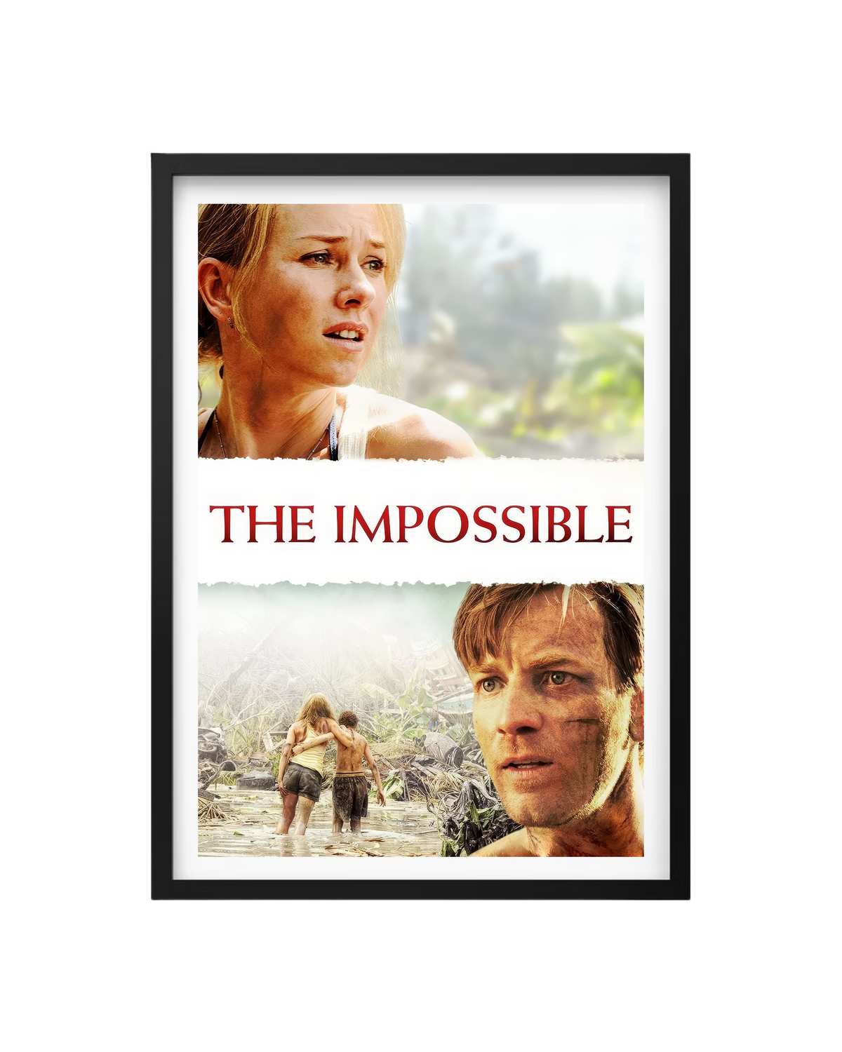 Cuadro Lo Imposible