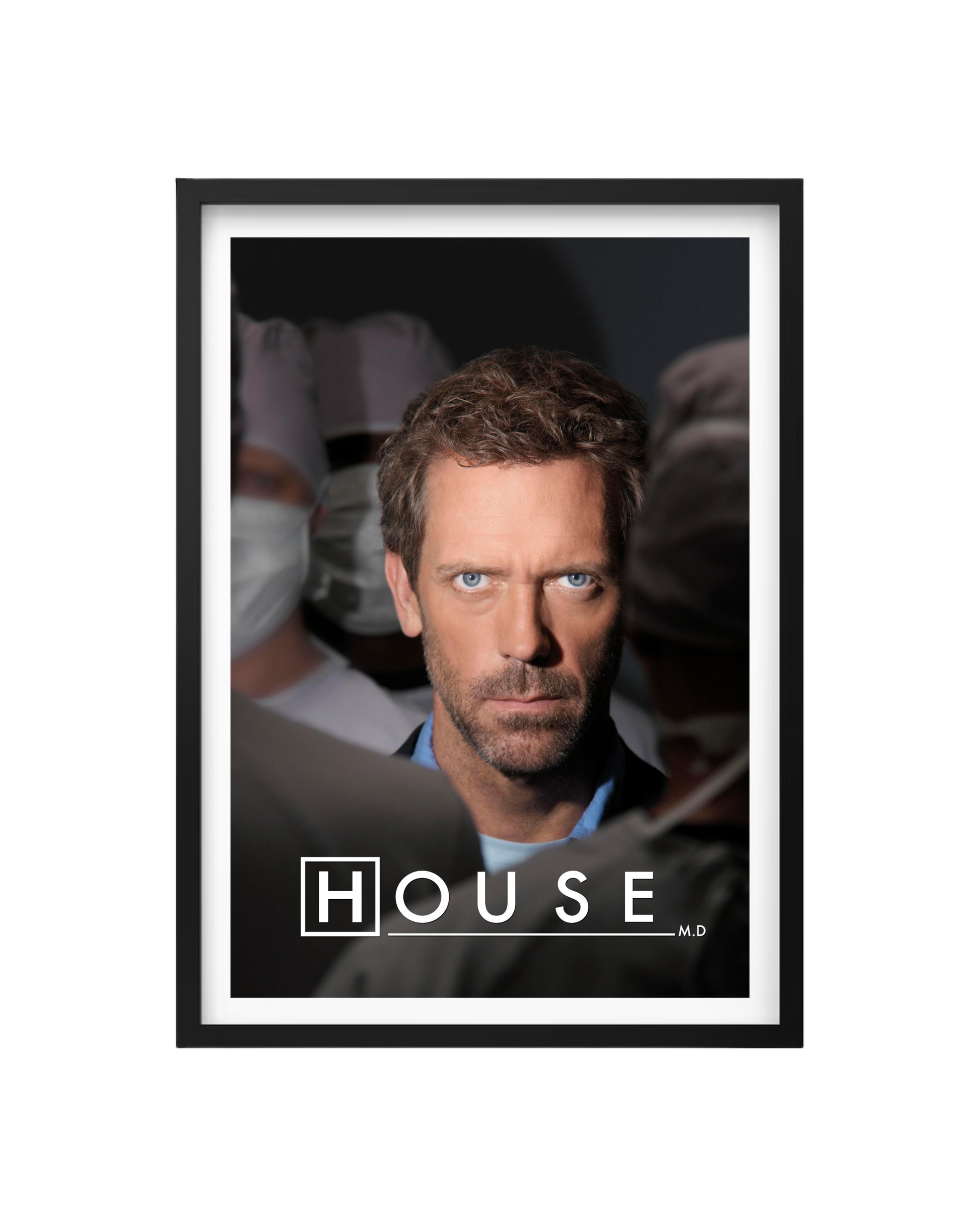 Cuadro Dr. House - El Genio Incorregible