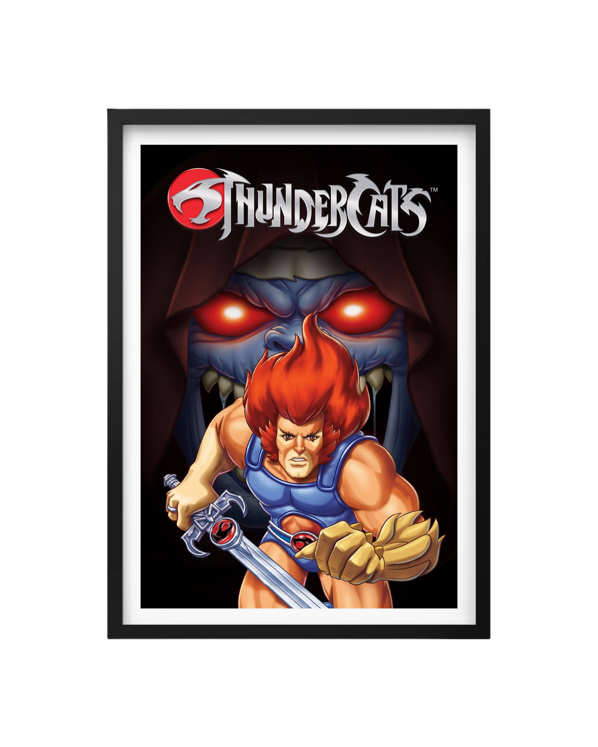 Cuadro Thundercats - El Rugido del Tercer Planeta