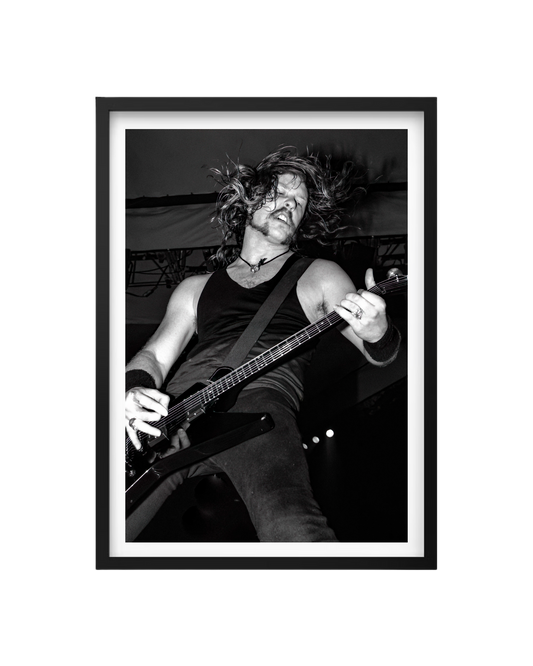 Cuadro James Hetfield Metallica