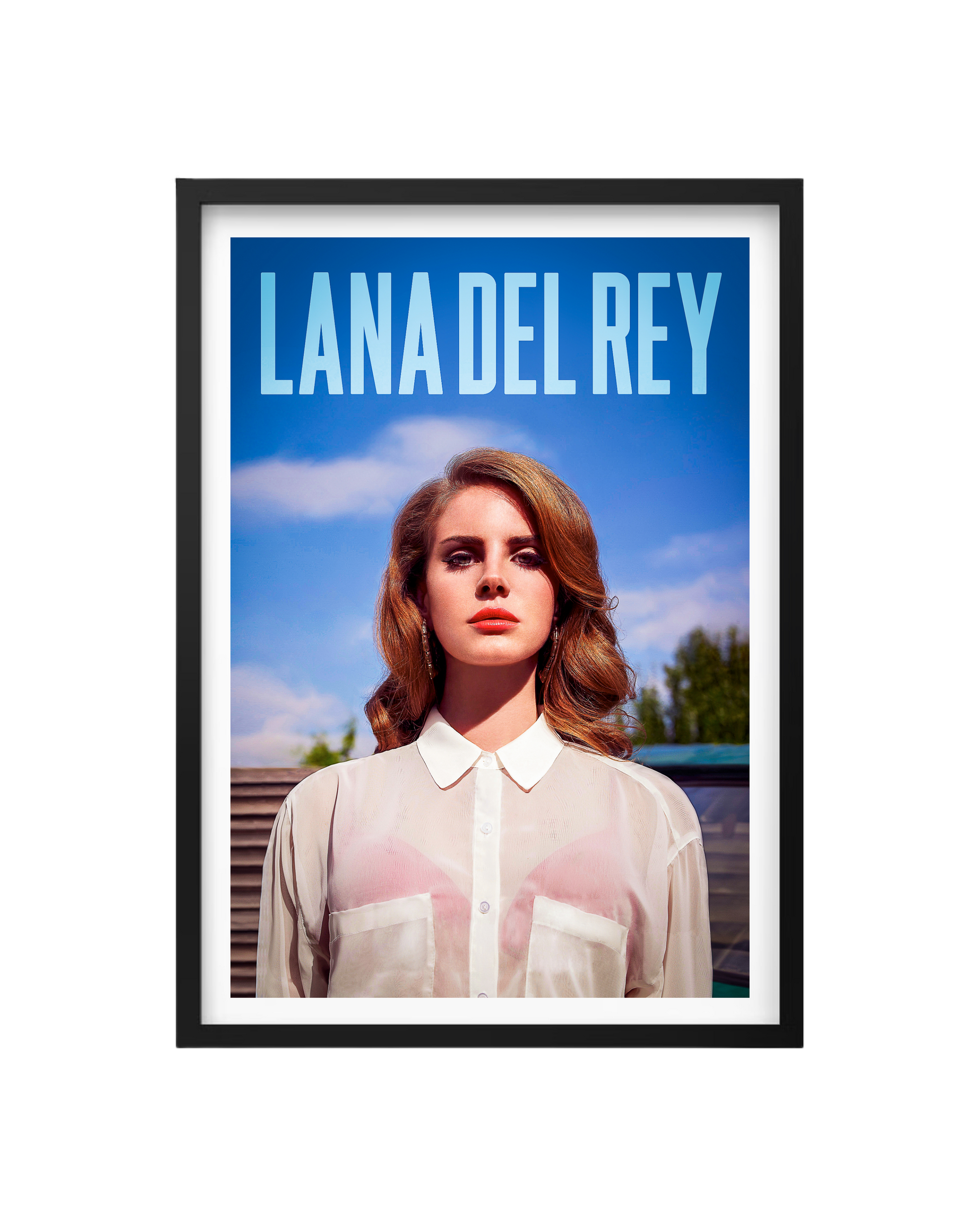 Cuadro Lana Del Rey