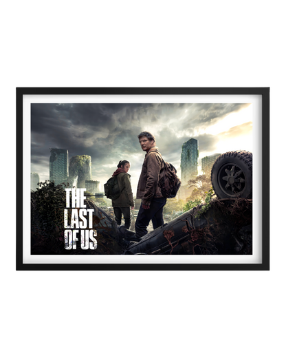 Cuadro The Last Of Us