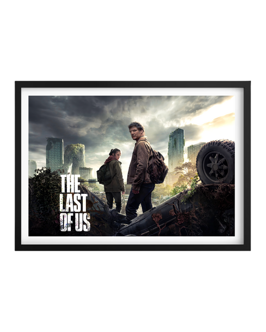 Cuadro The Last Of Us
