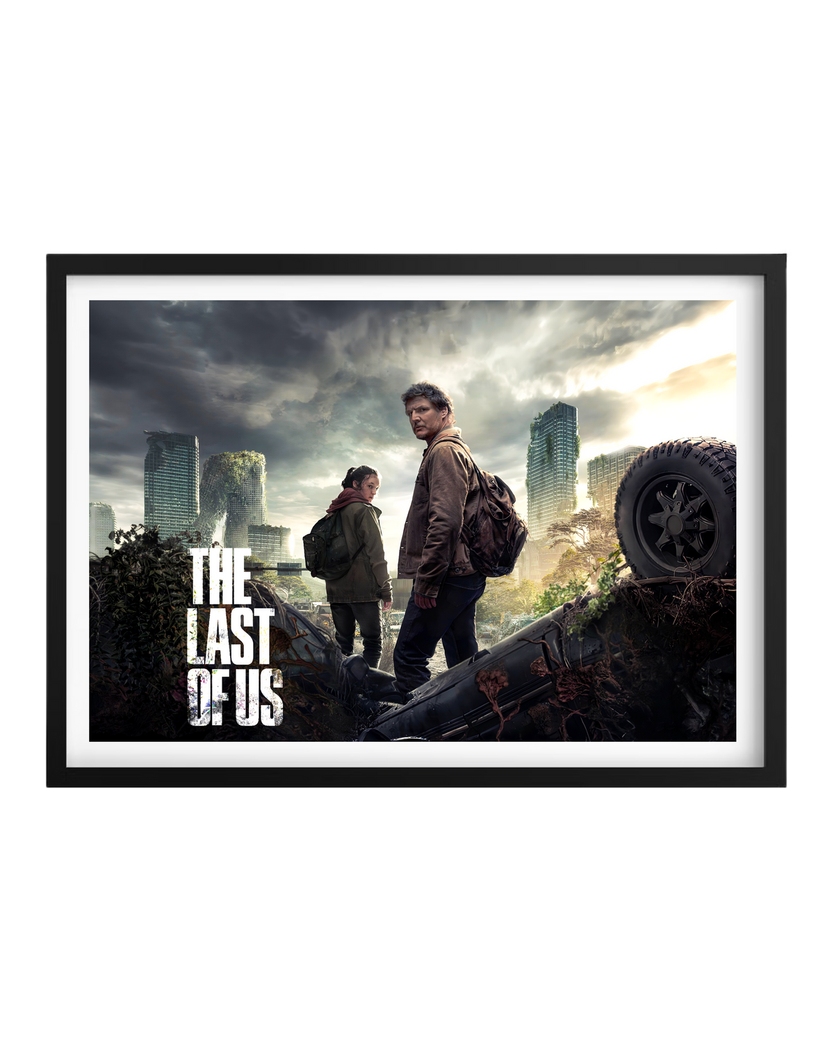 Cuadro The Last Of Us