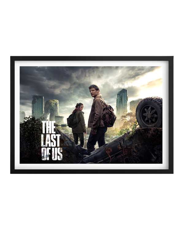 Cuadro The Last Of Us