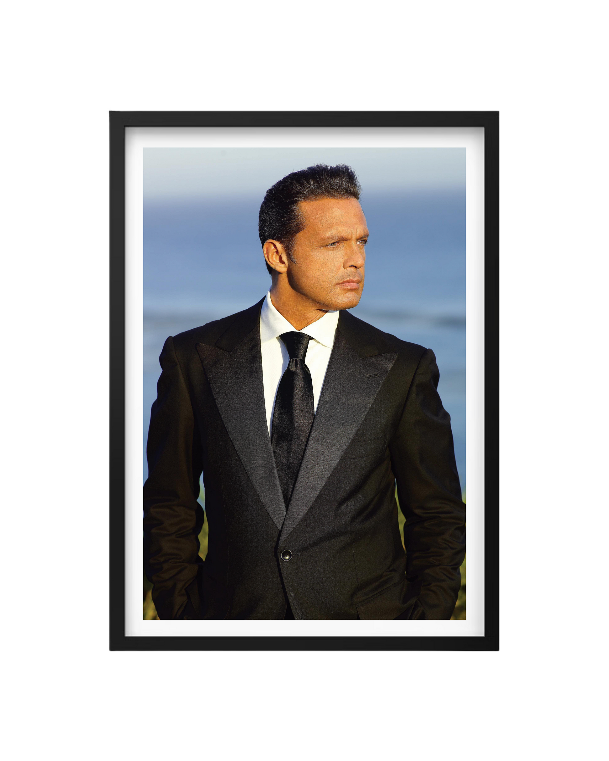 Cuadro Luis Miguel