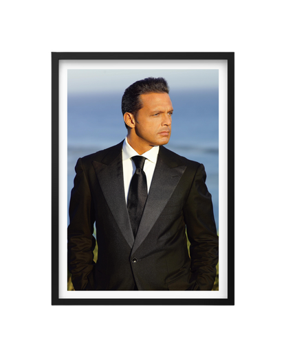 Cuadro Luis Miguel
