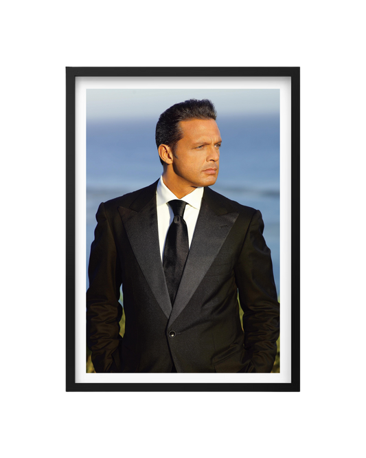 Cuadro Luis Miguel