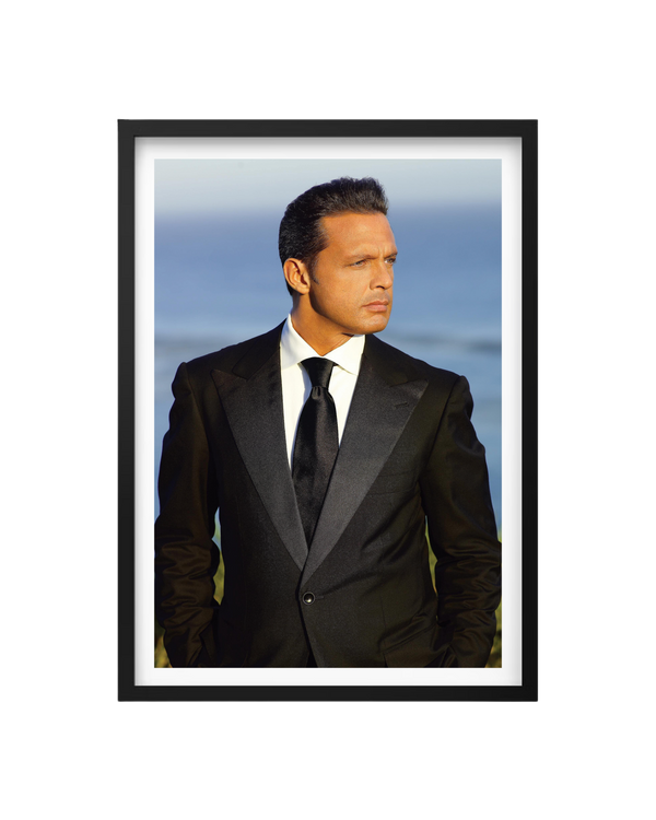 Cuadro Luis Miguel