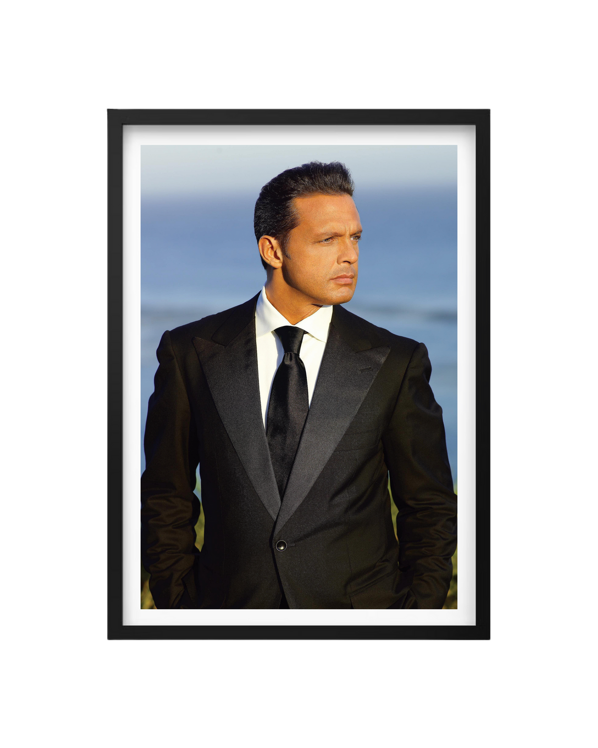 Cuadro Luis Miguel