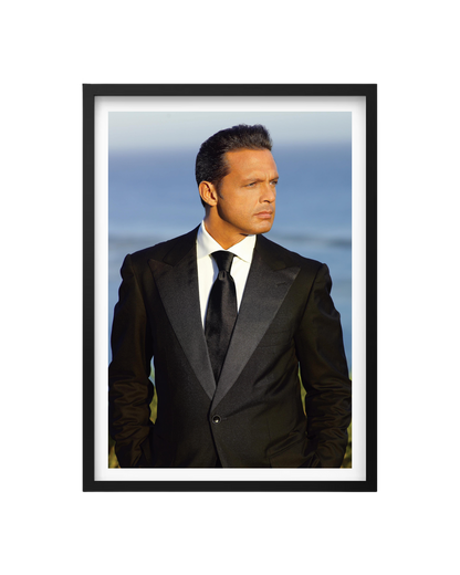 Cuadro Luis Miguel