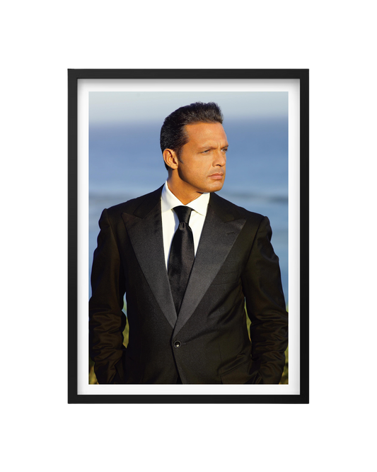 Cuadro Luis Miguel