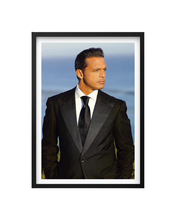 Cuadro Luis Miguel