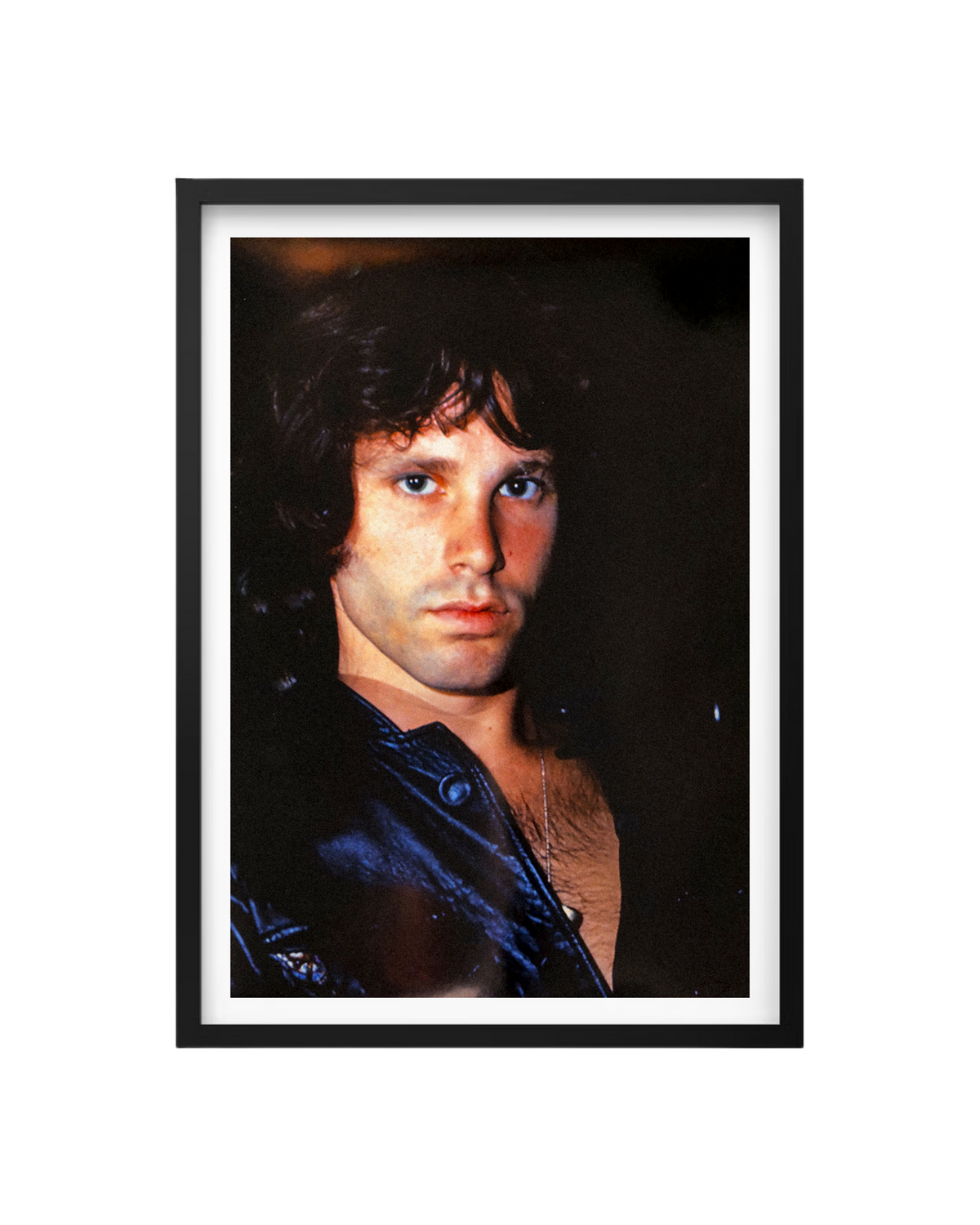 Cuadro Jim Morrison The Doors