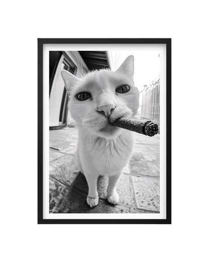 Cuadro Gato Mafia