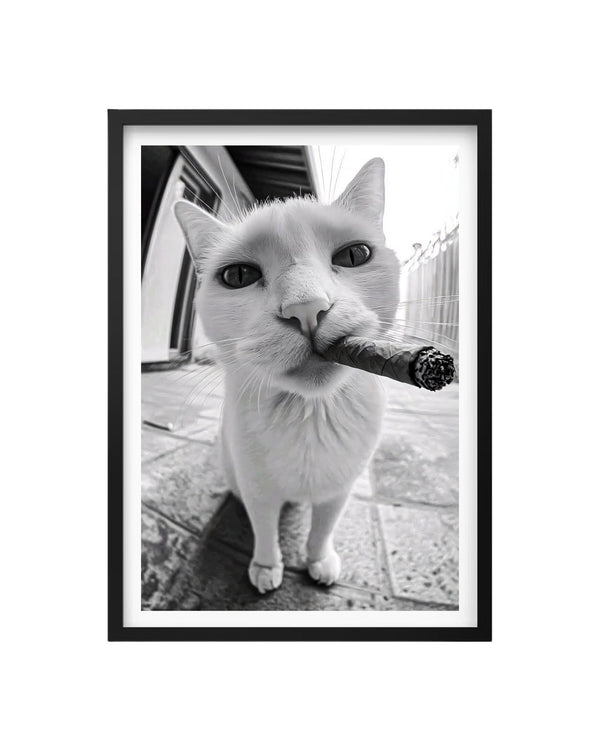 Cuadro Gato Mafia