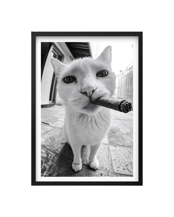 Cuadro Gato Mafia