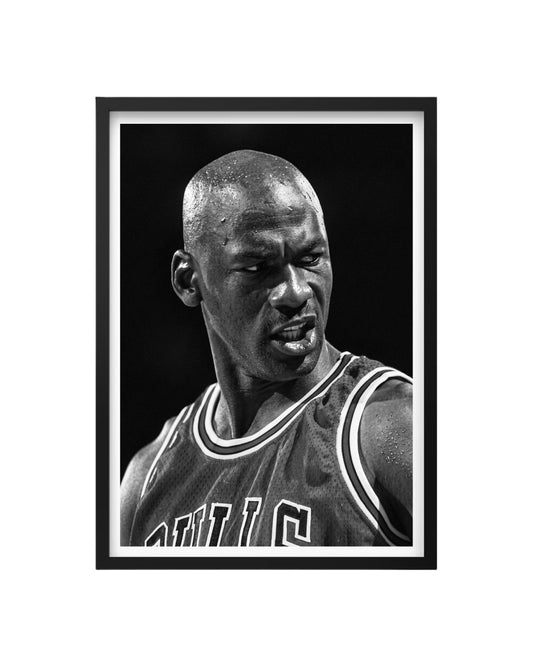 Cuadro Michael Jordan