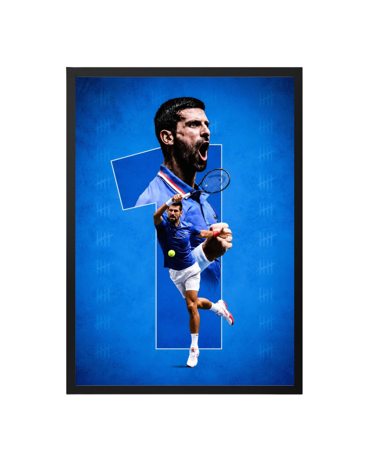 Cuadro Novak Djokovic – El Número 1