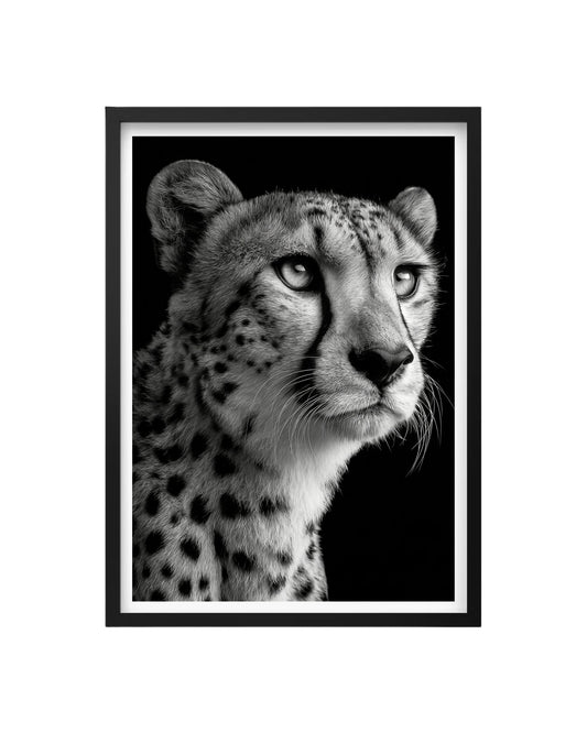Cuadro Guepardo Fine Art – Retrato Majestuoso en Blanco y Negro