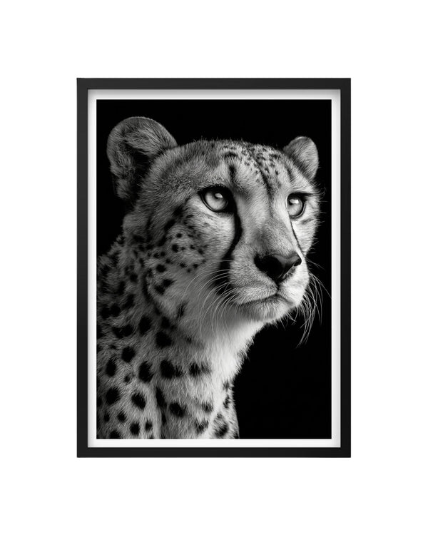 Cuadro Guepardo Fine Art – Retrato Majestuoso en Blanco y Negro