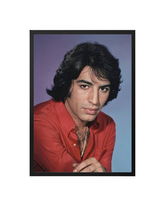Cuadro Sandro de América