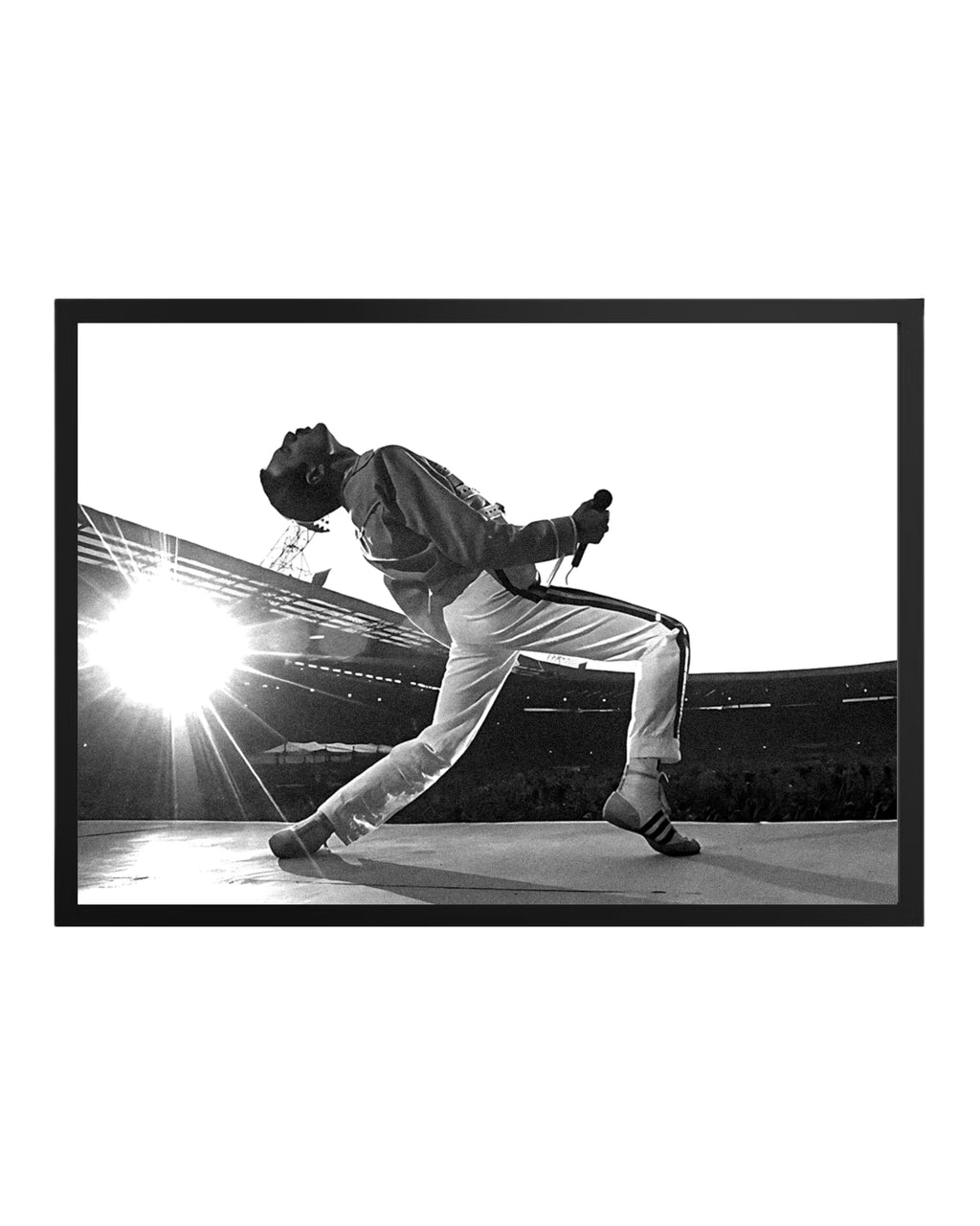 Cuadro Freddie Mercury (Queen)