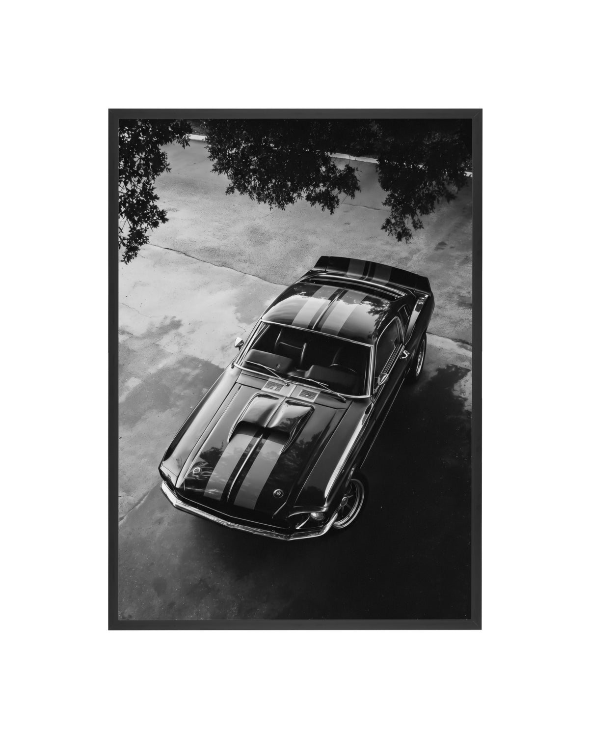 Cuadro Ford Mustang Eleanor (Aerial Edition)
