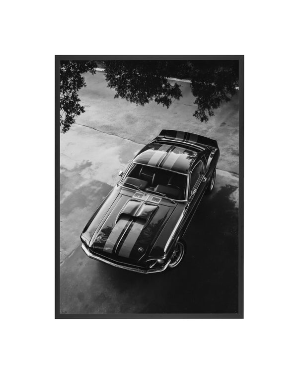 Cuadro Ford Mustang Eleanor (Aerial Edition)