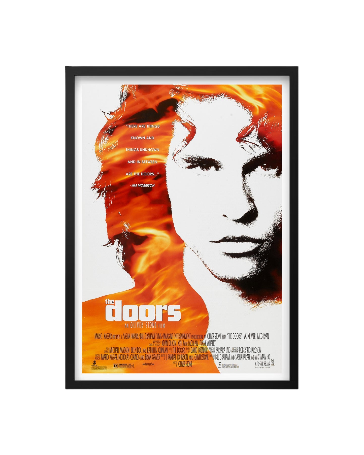 Cuadro The Doors – Jim Morrison