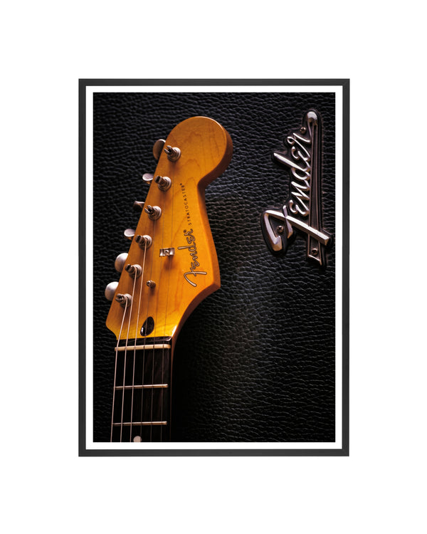 Cuadro Guitarra Fender Stratocaster